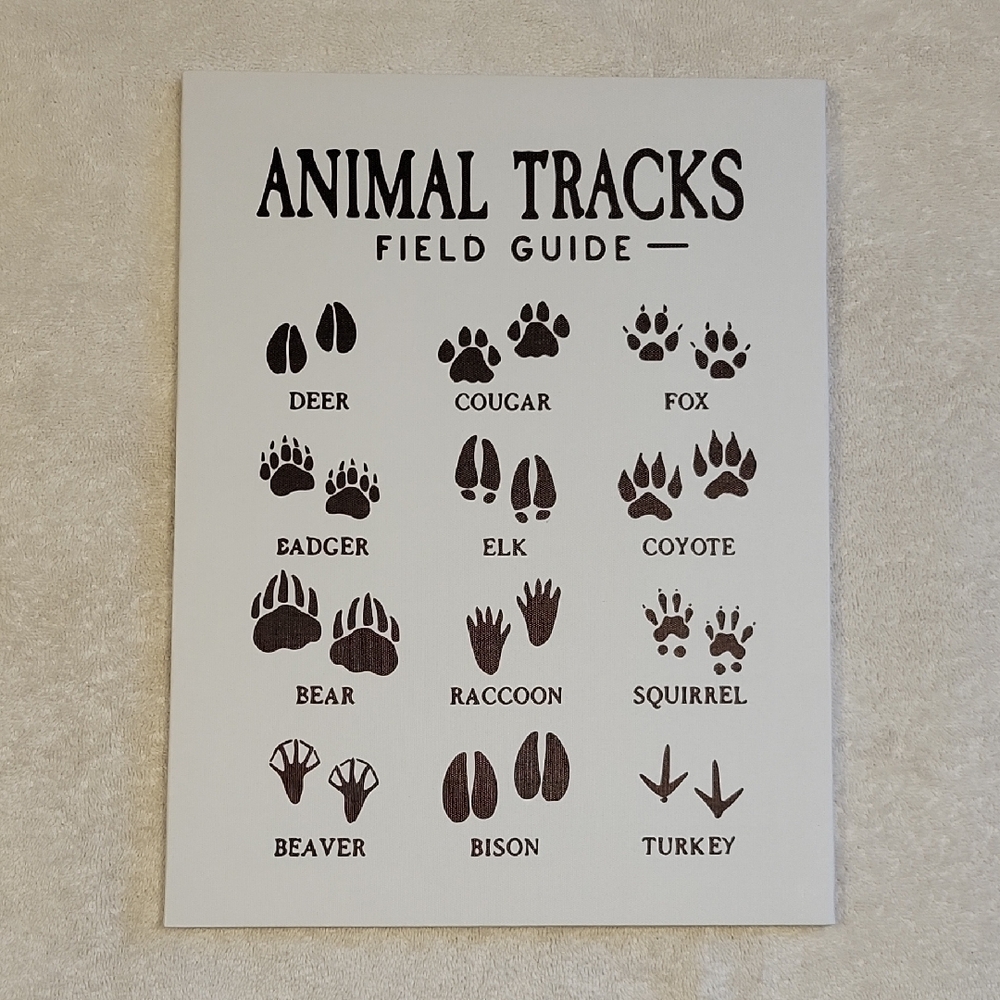 Animal Tracks Field Guide Poster -  Brown and Cream